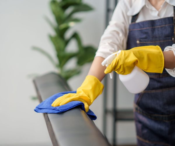 the-hand-of-a-female-housewife-who-is-cleaning-wip-2023-11-27-04-56-34-utc